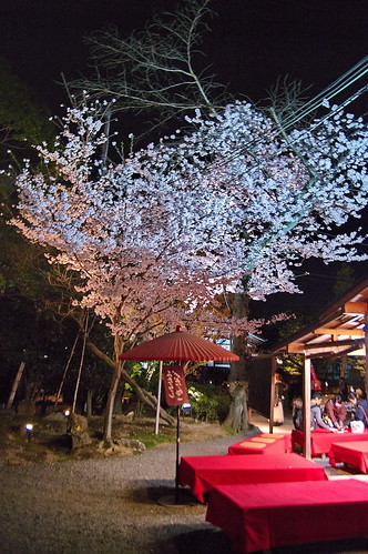 【写真】2013 桜 : 高台寺（２）/2020-11-07/IMGP9324