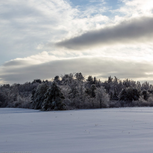 trees winter sky plants snow home nature public field weather clouds buildings season outside photo search flickr unitedstates maine structures sunny places scene safety rights sharing type everyone safe facebook export glenburn momdads ccbyncsa