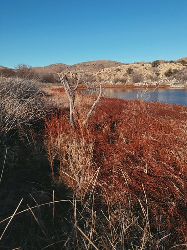 arizona lake nature water reeds landscape photography weeds desert hiking az coronadonationalforest arivaca arivacalake iphoneography vscocam uploaded:by=flickrmobile flickriosapp:filter=nofilter