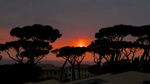 sunset rome roma night tramonto cloudy pines castelgandolfo pinimarittimi