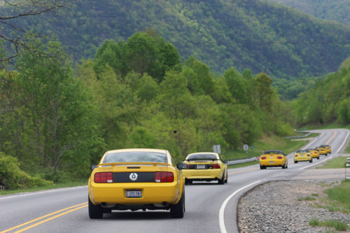 mountains hot ford yellow north springs carolina mustang smoky registry ymr