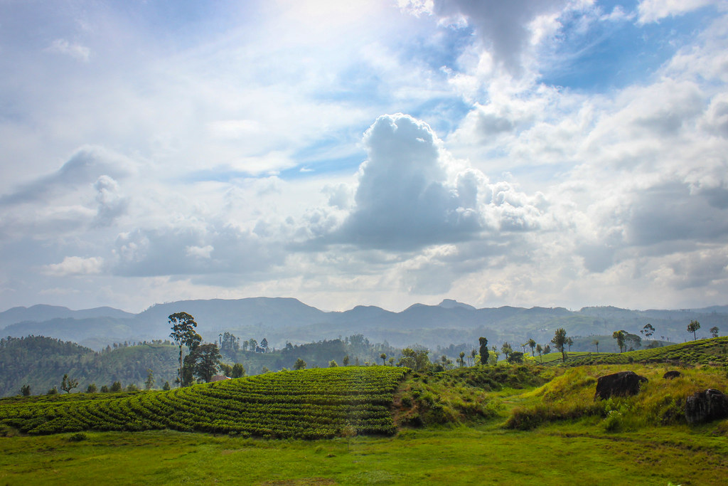 Остров Шри-Ланка 2015: фотоотчет