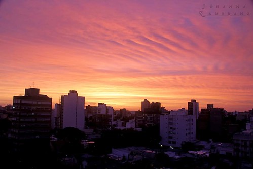 city pink sunset sky color clouds atardecer buenosaires rosa ciudad colores cielo nubes build laplata furia despejado ciudaddelafuria