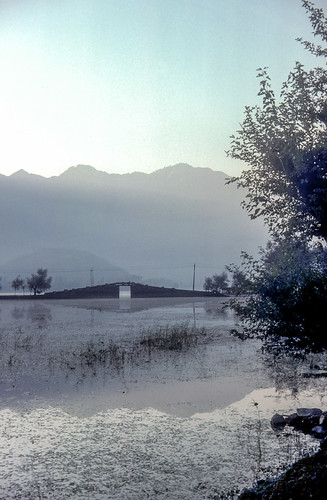 india kashmir srinagar inde in dallake cachemire