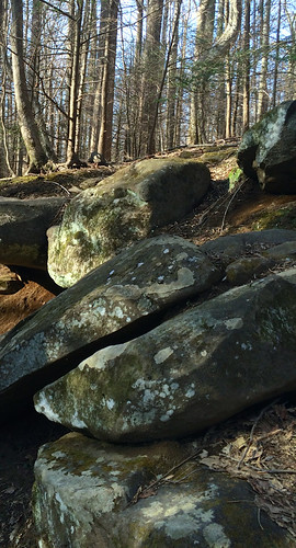 Split rocks in the woods