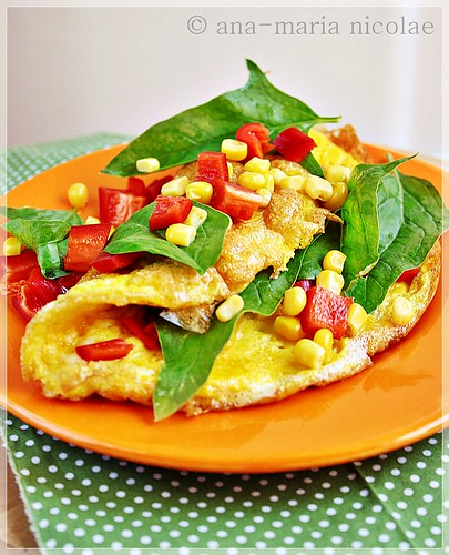 Mexican omlette