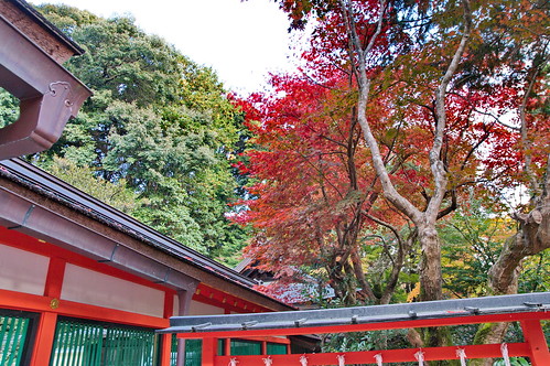 【写真】2012 紅葉 : 大原野神社/2021-08-20/IMGP6623