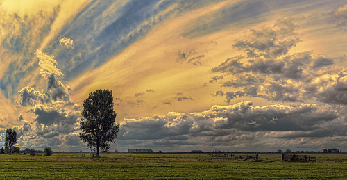 sky holland tree netherlands dutch grass clouds fence farming nederland meadow dramatic grassland polder nikkon horzion d5200