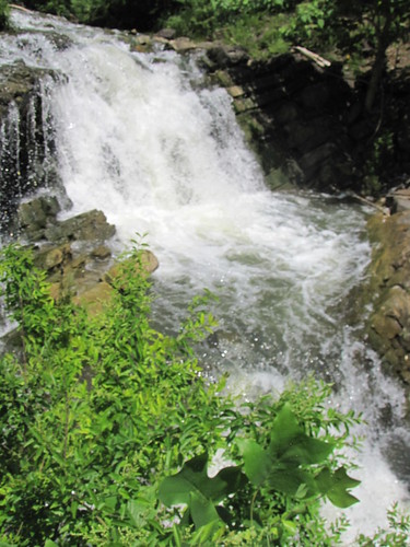 nature creek bristol waterfall tennessee steeles