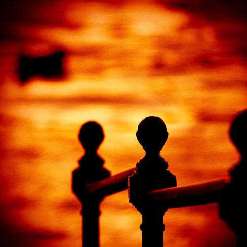 autumn sunset red orange sun blur color colour nature water silhouette fence river catchycolors dark square colorful warm shadows dof bokeh warmth squareformat vignette darkart hss hff 500x500 bsquare fencefriday sliderssunday orangecapri
