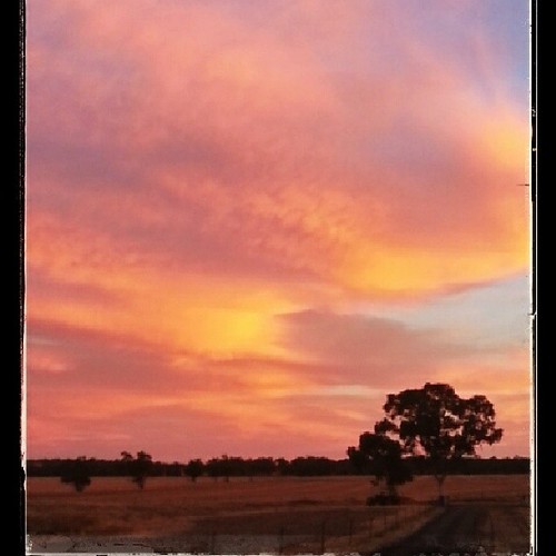 sunset sky clouds sunrise square colours samsung australia victoria squareformat mobilephone storms wimmera kiata iphoneography instagramapp uploaded:by=instagram galaxys3 foursquare:venue=4e9b9a39722edf21e2e72fdb