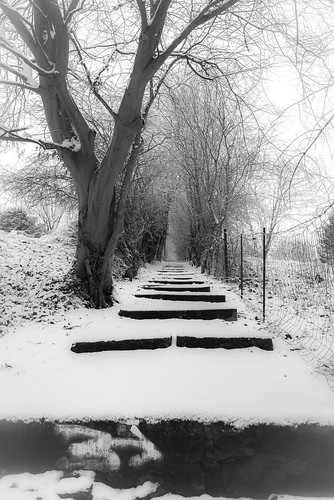 Escalier sous la neige