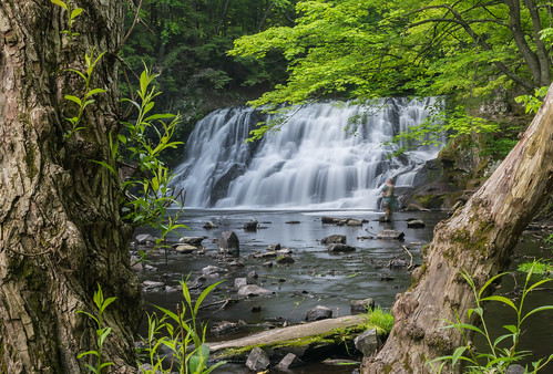 longexposure morning trees tree water rock river geotagged fishing fisherman nikon rocks unitedstates outdoor connecticut middlefield wadsworthfalls wadsworthfallsstatepark coginchaugriver nikond5300