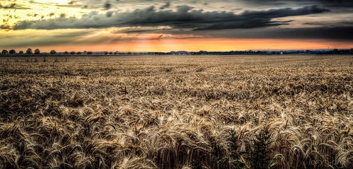 sunset summer detail nature field contrast relax landscape nice nikon place hdr d3200