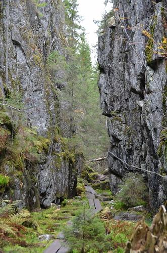 finland gorge geology leppävirta orinoro mustinmäki