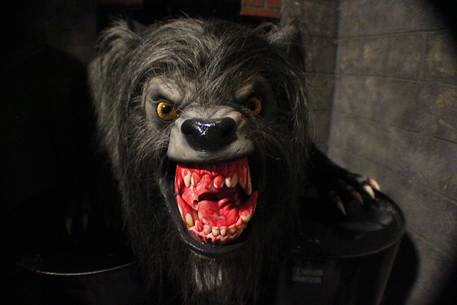 An American Werewolf in London lights-on at Universal Orlando