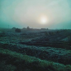 Sun rising over fields covered with morning frost.... Latergram from late September road trip (have some catching up to do!)