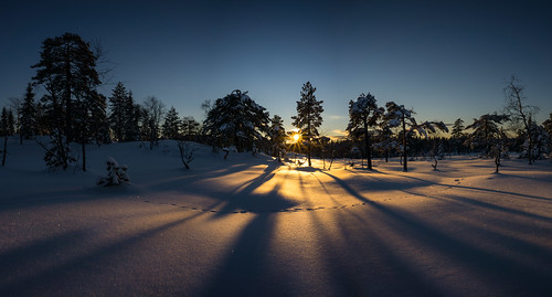 winter sunset snow lowlight powder longshadowsforestnatureshadowstreesuntouchedcolornorwayoslonordmarkasonya6000