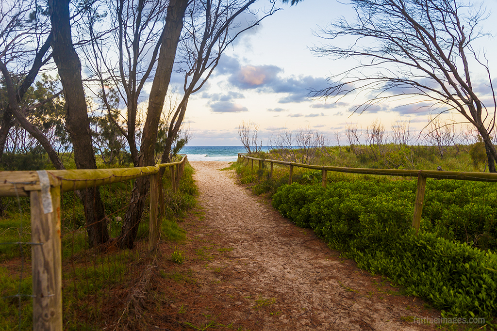 Pathway to the beach in Surfers Paradise