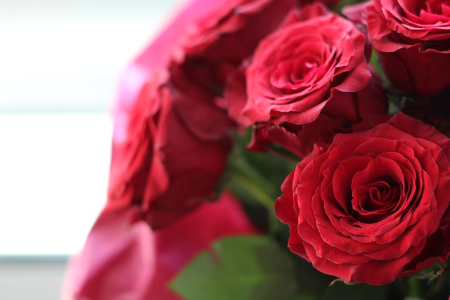 happy valentines day roses lisforlois