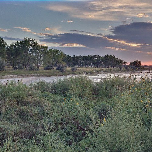 trees sunset clouds southdakota rural river square evening weeds dusk whiteriver sunflowers squareformat cottonwood prairie hdr iphone5 iphoneography instagramapp uploaded:by=instagram valburgranch foursquare:venue=4ff46fc1e4b01d081f2b747e