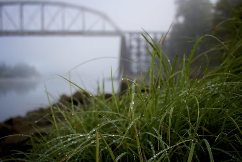 bridge wet grass fog oregon train river oak grove bokeh pdx willamette