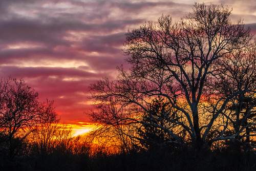 winter sunset sky golden newjersey pentax leafless plainsboro pentaxart k5ii