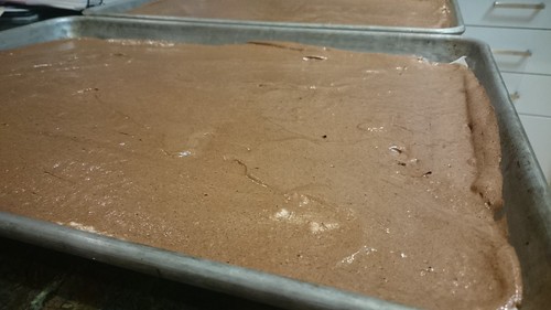 Twelve-Layer Flourless Chocolate Dobos Torte - Cake Layer