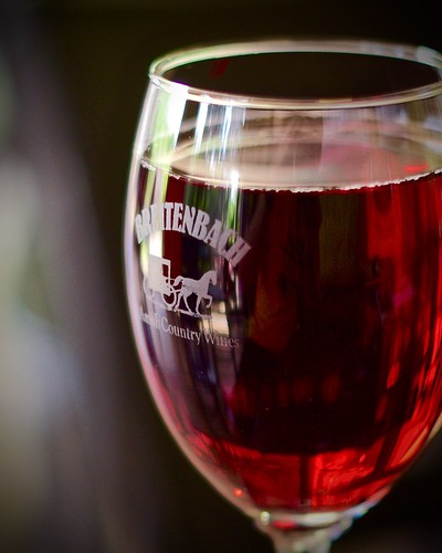 travel ohio vacation usa glass wine toast blueberry grapes vinyard breitenbach