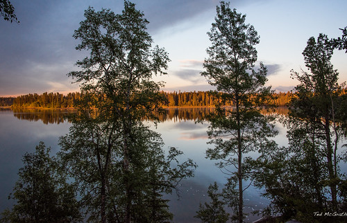 trees sunset lake reflection water nikon cropped lakeview vignetting waterreflection crimsonlake 2016 tedmcgrath cans2s tedsphotos nikonfx nikond750 crimsonlakealberta