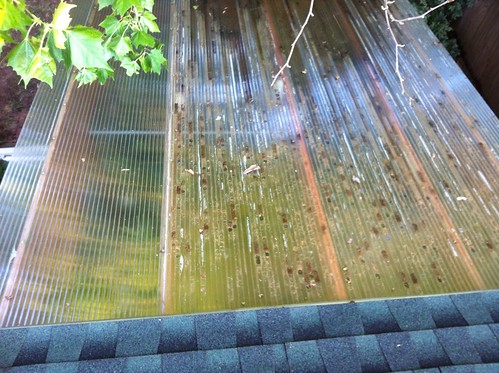 Greenhouse hail damage and repair