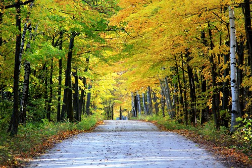 county door autumn fall colors wisconsin way path