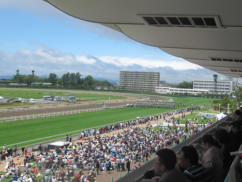 函館競馬場の指定席からの眺め