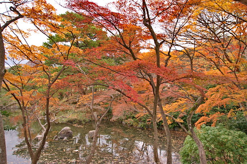 【写真】2012 紅葉 : 円山公園/2021-09-23/IMGP8006