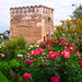 P1080160-Generalife - Alhambra - Granada