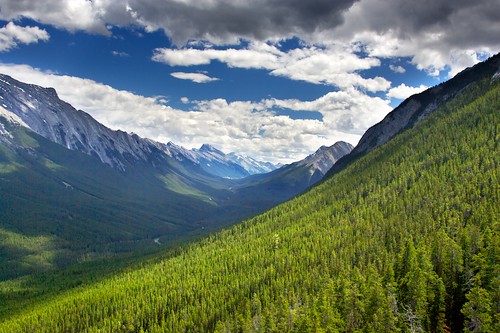 blue trees summer sky sun canada green clouds nationalpark himmel wolken sonne canadien kanada pbase grün bäume