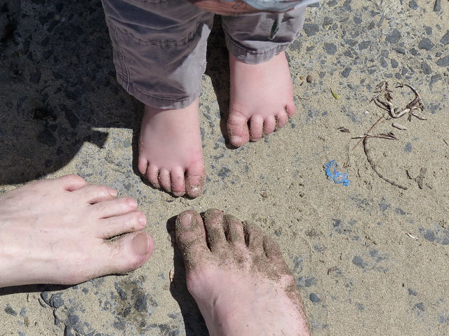 Beach feet - minus Lottie's paw