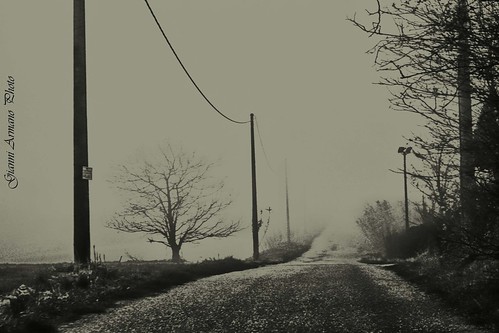 street fog landscape march photo strada foto natural image natura 20 nebbia marzo gianni 2014 armano