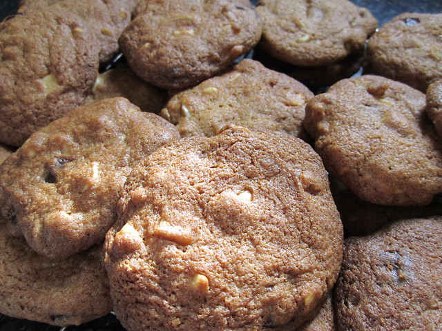 chocolate chip cookies (2)