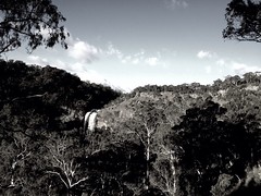 Another view of Ebor Falls