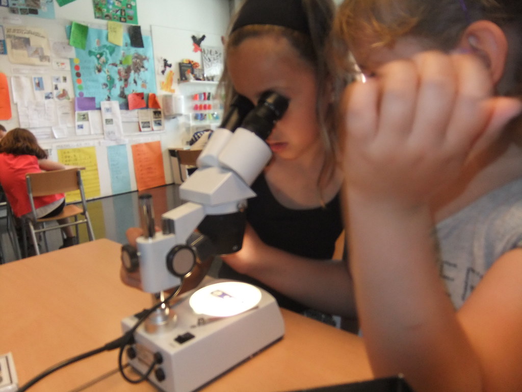 mirem mostres a la lupa binocular i al microscopi (5)