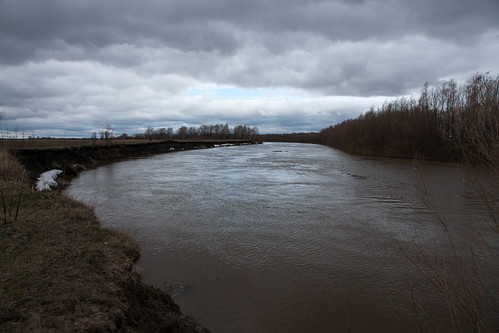 river landscape tara russia omskayaoblast