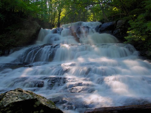 trees waterfall nationalpark rocks pennsylvania smooth delawarewatergapnationalrecreationarea hornbeckscreek olympusm1250mmf3563 indianladderstrail
