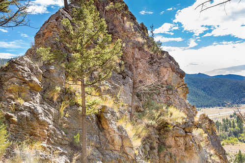 trees summer rock canon montana rocks basin evergreen evergreentrees 60d