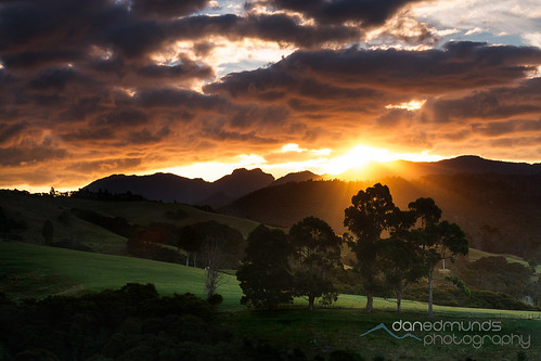 trees sunset newzealand mountains coromandel coromandelpeninsula
