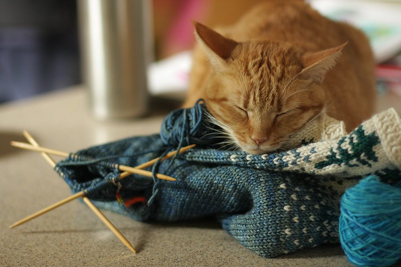 knitting pillow
