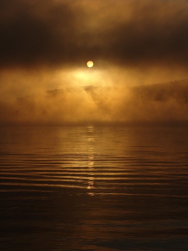 fog sunrise warm wasser nebel sommer landschaft sonne sonnenaufgang gegenlicht dunst früh schwaden verdunstung landschaftsfotografie