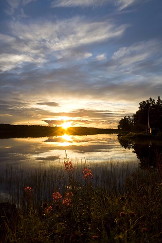 blue sunset sun water clouds reflections sweden jämtland fireweed solnedgång blå moln mjölkört lillsjöhögen uploaded:by=flickrmobile flickriosapp:filter=nofilter kråksjön