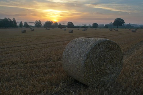 uk england field sunrise harvest essex dedham nikond3100
