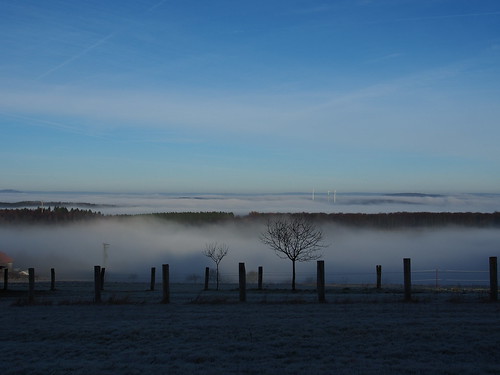 fog germany landscape nebel saarland
